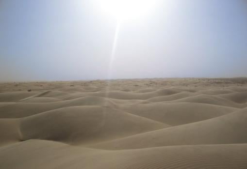 Instalar parques solares o eólicos cambiaría la circulación del aire y el albedo de la superficie de un modo que aumentaría las precipitaciones