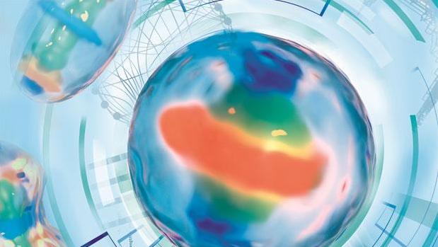 las bacterias pueden realizar mitosis