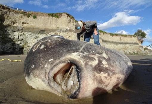 Thomas Turner /Reuters