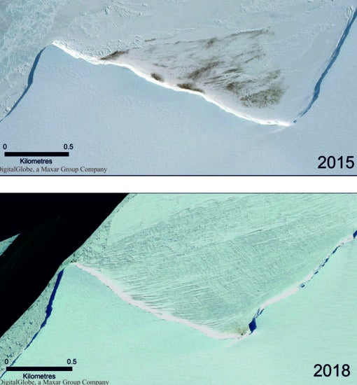 Imágenes satelitales que muestran la reducción en el tamaño de la colonia de la bahía de Halley en 2018 en comparación con 2015. Las marcas oscuras muestran el guano pingüino, y los parches muy densos son los pingüinos en sí.