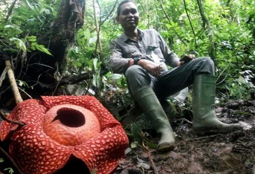 Vista en perspectiva de la planta