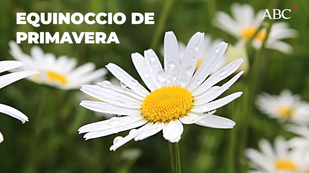 El Equinoccio De Primavera En 2020 Es El 20 De Marzo