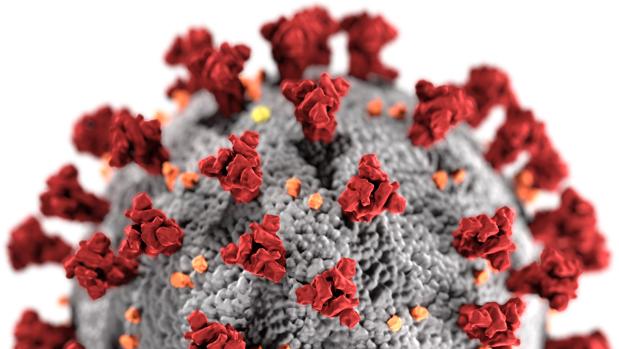 Los físicos se suman a la guerra contra el coronavirus y comprobarán si morirá en verano