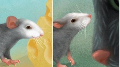 Diez descubrimientos asombrosos sobre el cerebro en 2020