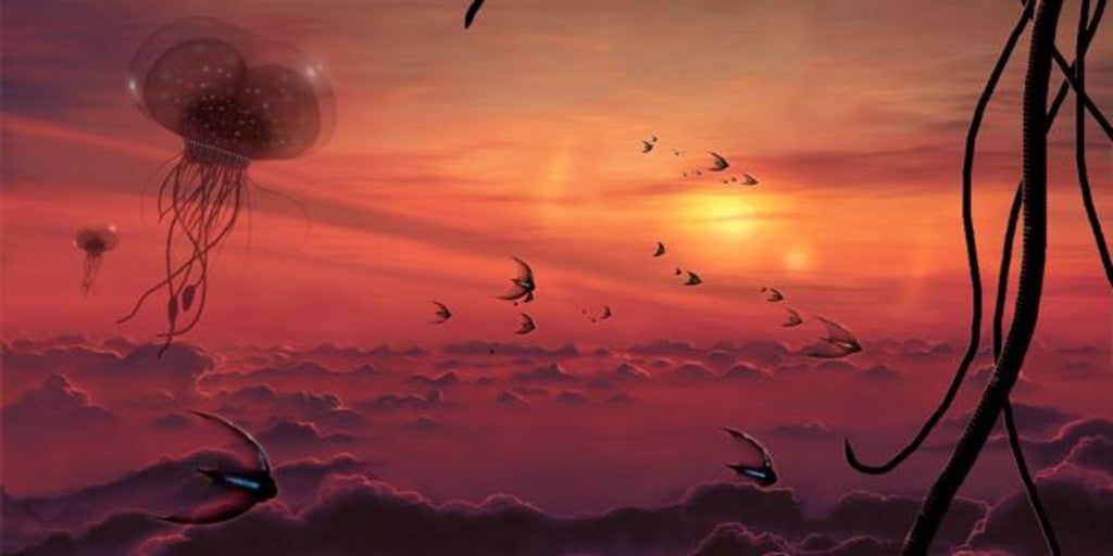Vida en la atmósfera de Venus?