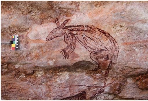 Un animal de la familia de los canguros