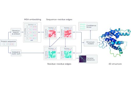 Learning process to process spatial graphs and predict the 3D structure of proteins