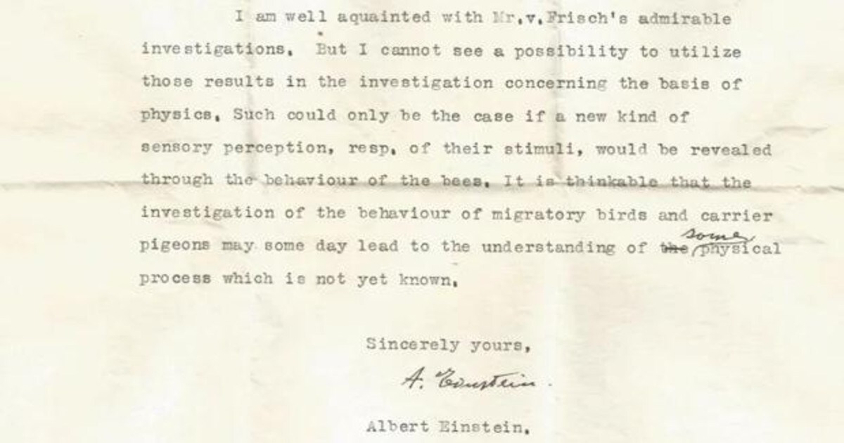 Descubren Una Carta Perdida De Einstein En La Que Predijo Los Supersentidos De Algunos Animales