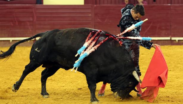 José María Manzanares, en el inicio de un pase de pecho