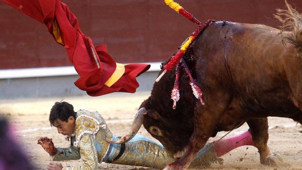 Fortes trata de zafarse del sexto toro, que le propinó una fea voltereta