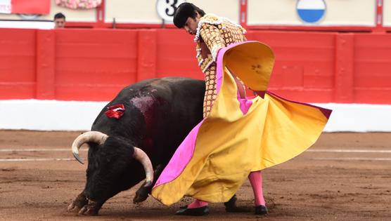 Miguel Ángel Perera