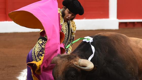 Morante, con el cuarto