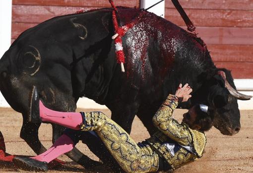 Momento de la cogida a Padilla con el manso primero
