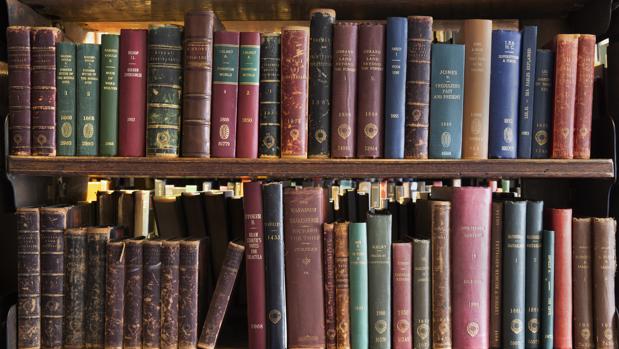 Stoker hizo anotaciones en más de una veintena de libros de esta biblioteca