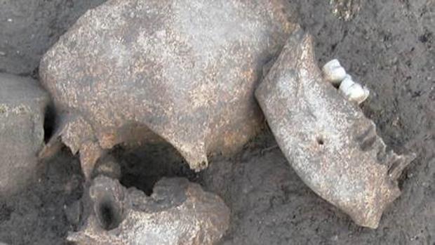 Restos humanos encontrados en el yacimiento arqueológico de Le Cailar
