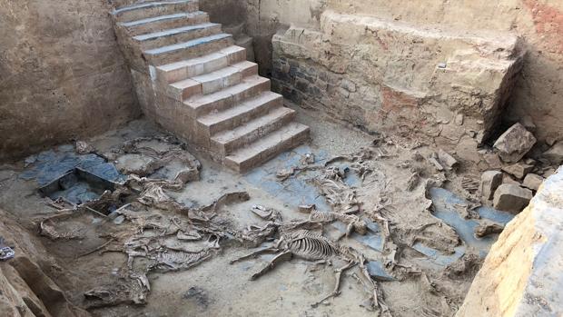 Hallados restos prehistoricos en Sant Cugat
