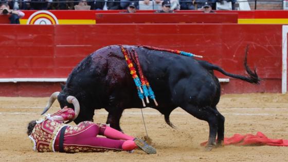 Román, en el momento del percance