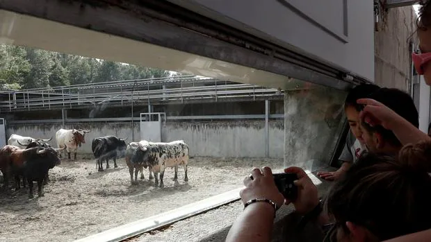 El público observa los toros en los Corrales del Gas