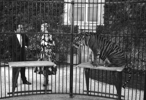 Grace Kelly y el Príncipe Rainiero III, en los jardines del Palacio de Mónaco, el 6 de mayo de 1955