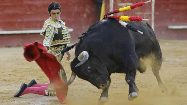 Miguel Ángel Perera, de rodillas con el toro «Holgado»