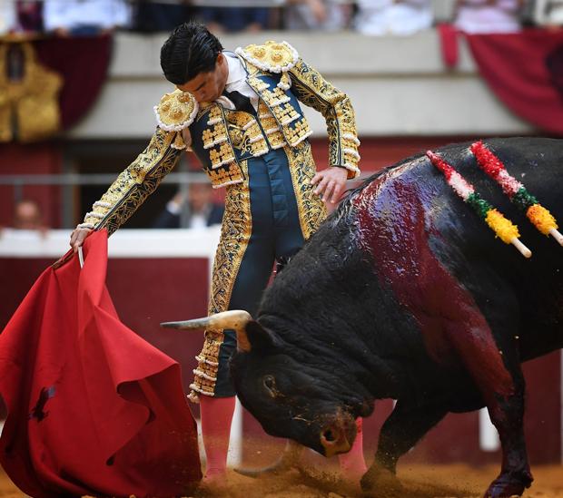 Derechazo de Pablo Aguado