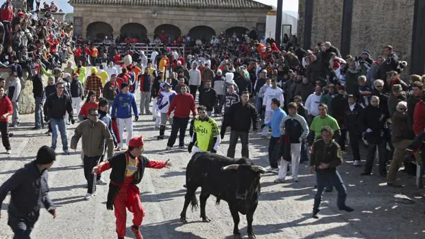 Encierros en Ciudad Rodrigo