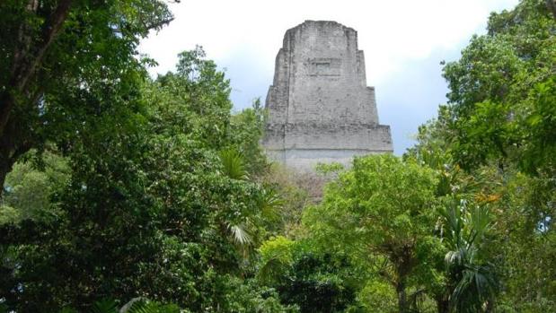 La antigua ciudad de Tikal se eleva sobre la selva tropical en el norte de Guatemala