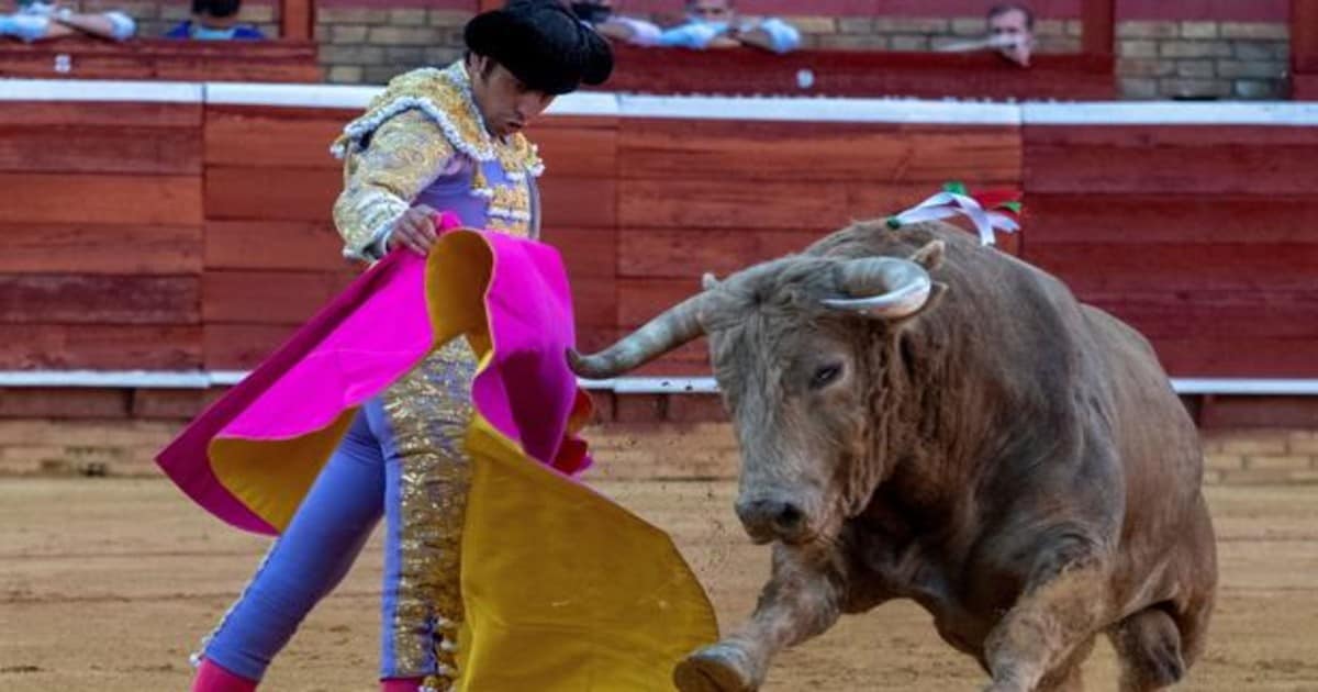 Las corridas de toros vuelven a Alcalá tras cinco años de ausencia