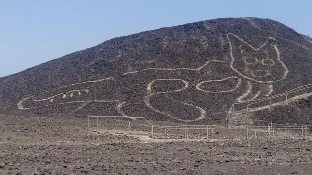 La figura de un gato de unos 37 metros de largo que reposa sobre una colina arenosa en la Pampa de Nazca