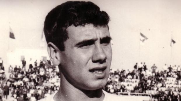 Pedrito