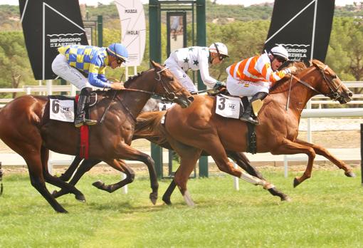 Un magnífico «Cefiro» se impone en el Premio Young Tiger; el ...