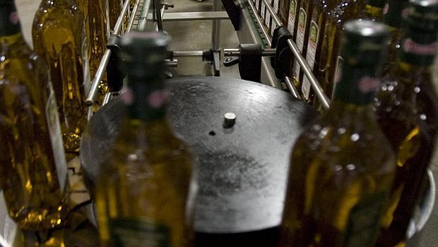Los productores españoles de virgen extra no se sienten amenazados por China