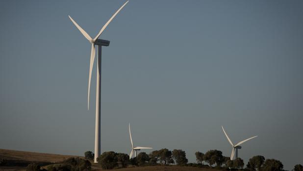 Parque eólico en Cádiz
