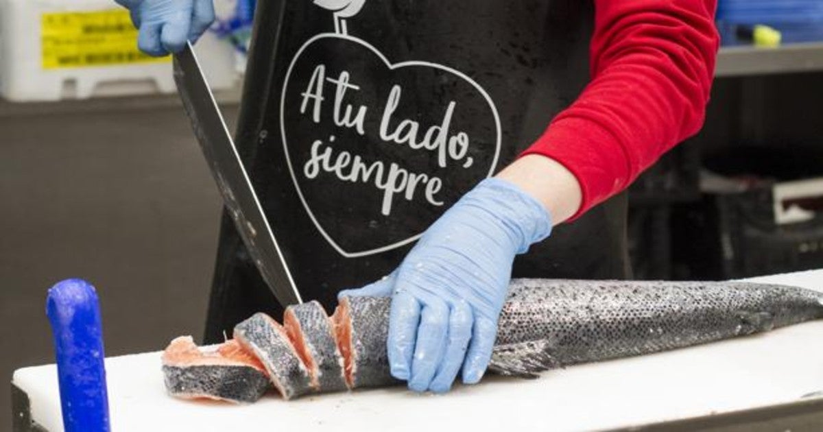 bolsa deporte alcampo