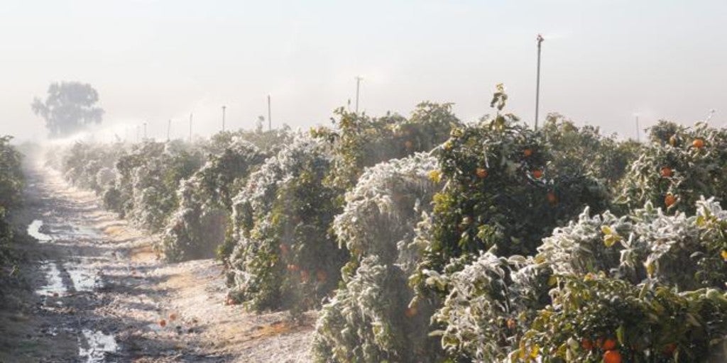 Las organizaciones agrarias aseguran que el seguro no remedia el problema estructural que vive el campo