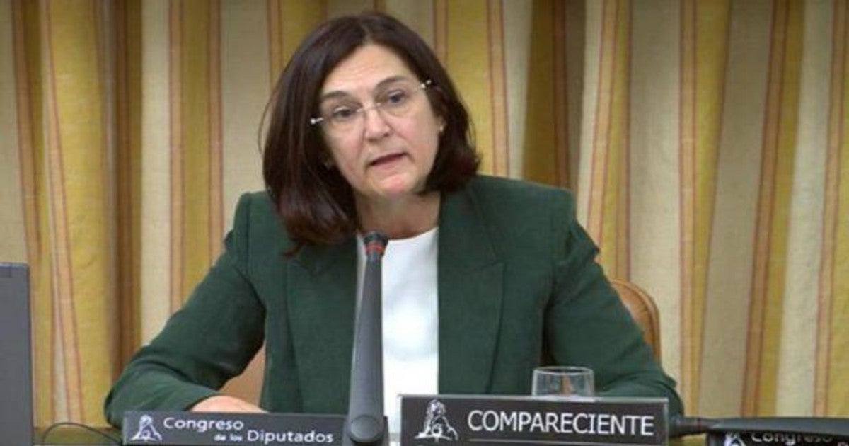 Cani Fernández (CNMC): «Somos conscientes de todos los memes sobre los  horarios de planchar»