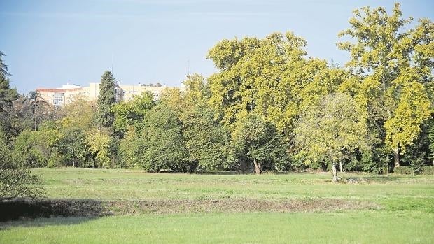 Antigua zona de huertas de la finca, que se pretende desplegar el primer cultivo urbano