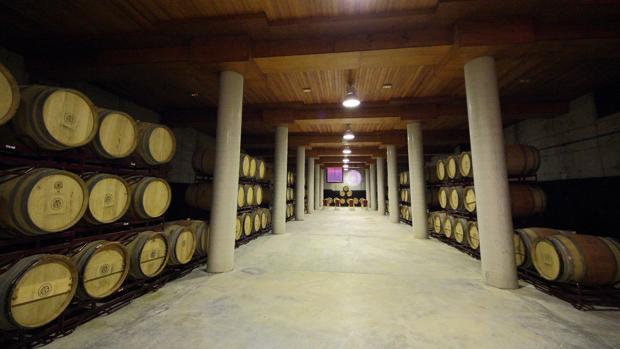 Sala de barricas de una Bodegas Viñasoro