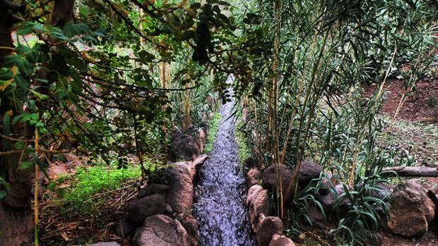 Guayadeque, Gran Canaria