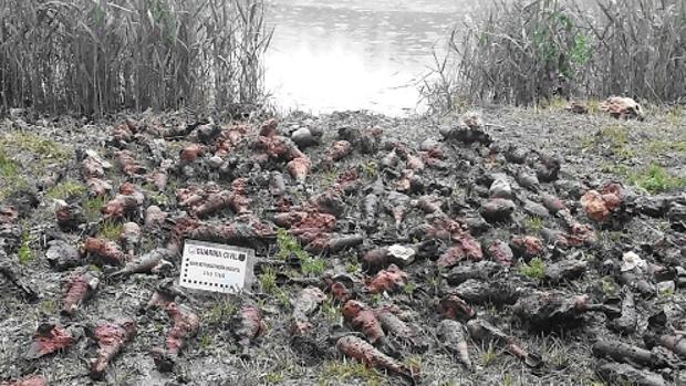Las granadas, ordenadas conforme eran extraídas de la laguna