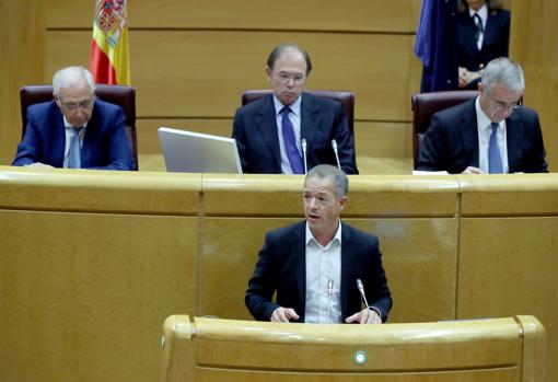 Ander Gil, portavoz socialista en el Senado