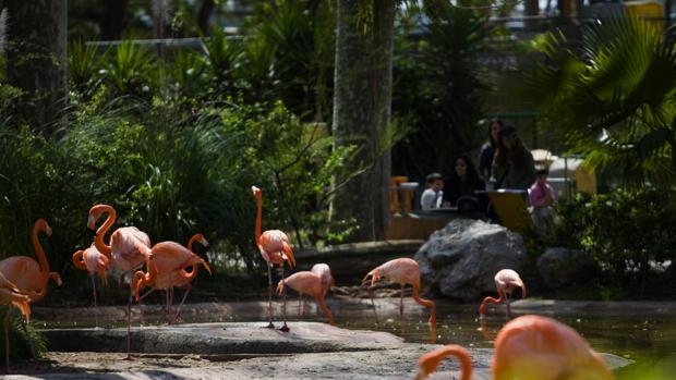 Imagen del zoo de Barcelona