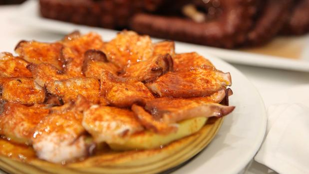 Pulpo Pasión Los Mejores Restaurantes En Los Que Disfrutar Del Manjar Gallego