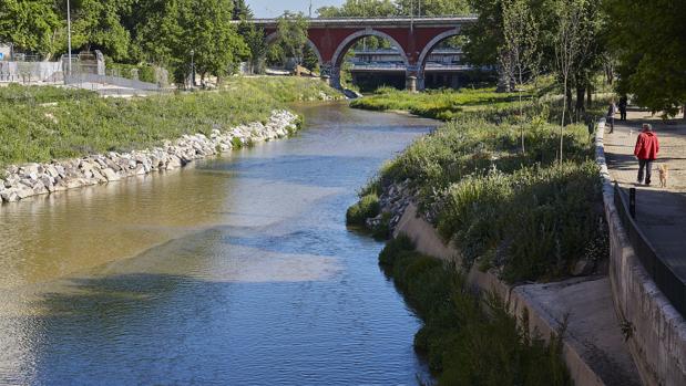 El aspecto actual del río Manzanares
