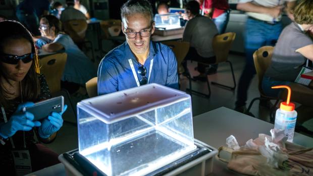 Una demostración de tecnología en desarrollo por el CERN