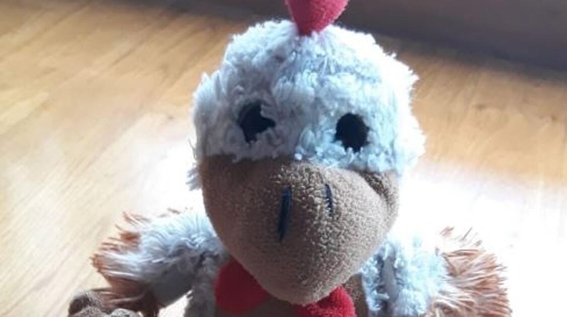 Twitter Se Busca A Kiki El Peluche Perdido De Un Nino Que Ha Desatado La Solidaridad En Twitter