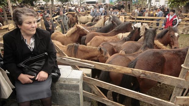 La feria de As San Lucas es la más antigua de Galicia, con 862 años de antigüedad