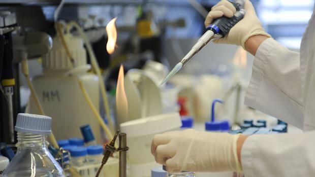 Laboratorio de I+D