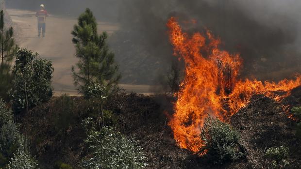 Las llamas calcinan matorral de un monte de Viana do Bolo (Orense), donde el fuego ha calcinado estos días 165 hectáreas