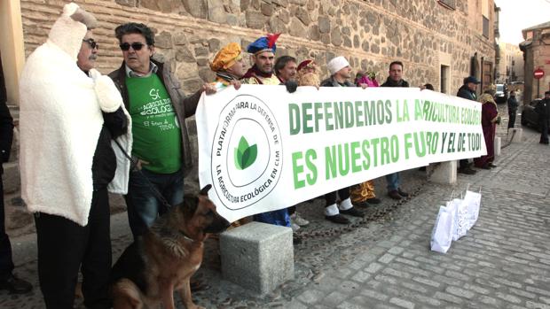 Los manifestantes, en Toledo este martes, junto al palacio de Fuensalida